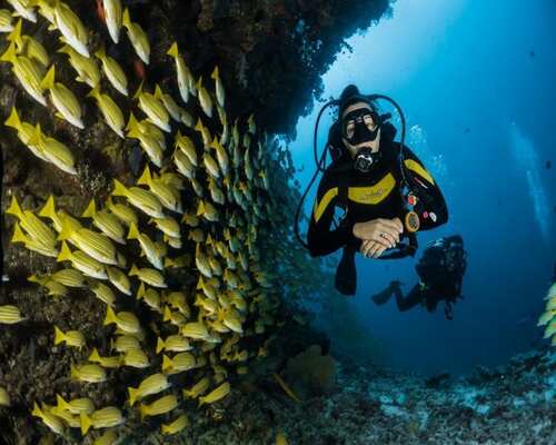 scuba diving in the united states