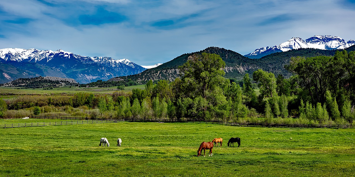 Colorado