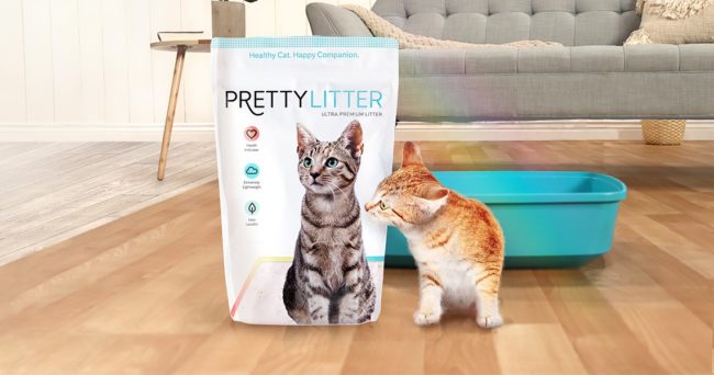 prettylitter