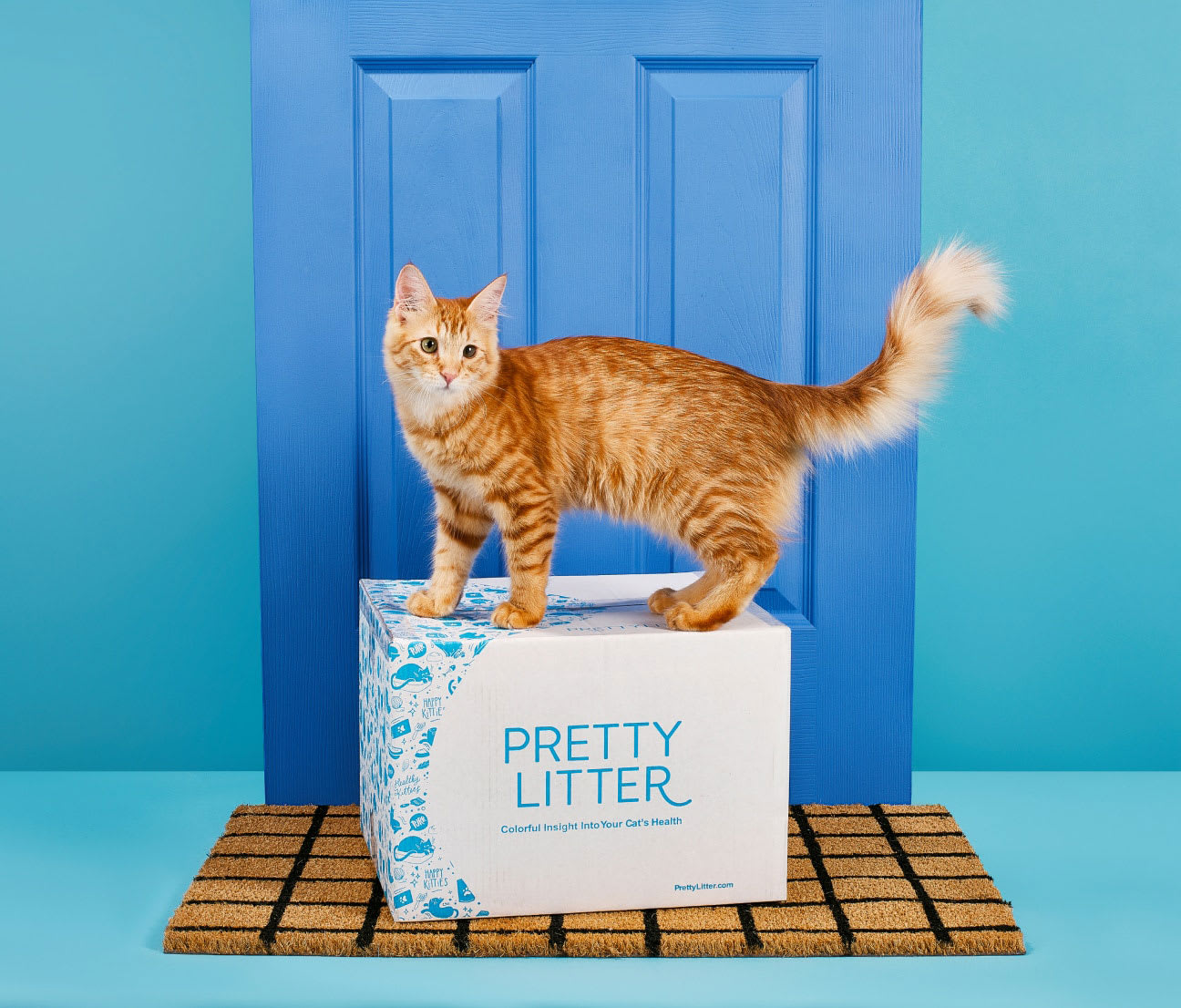 prettylitter