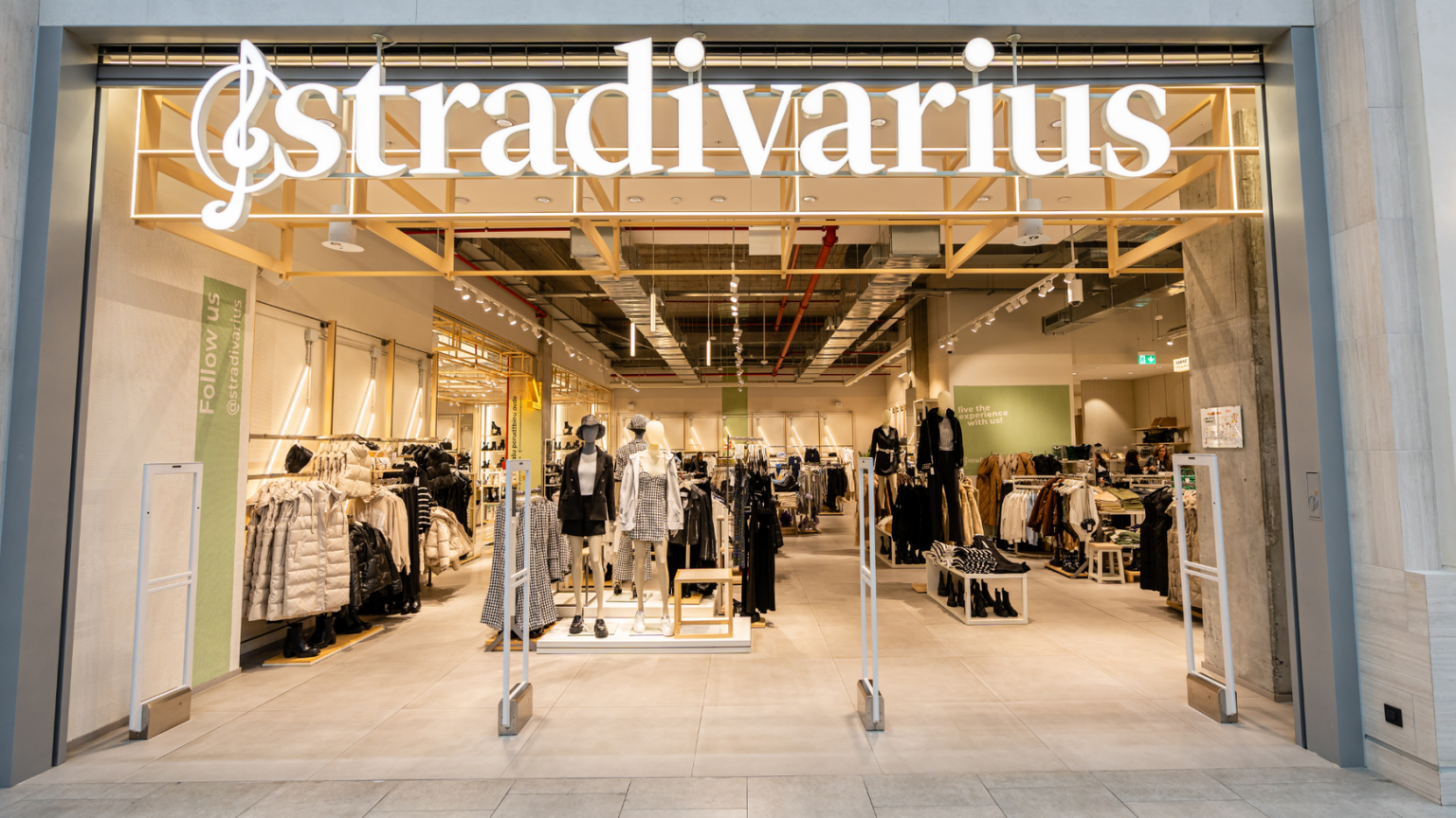 stradivarius