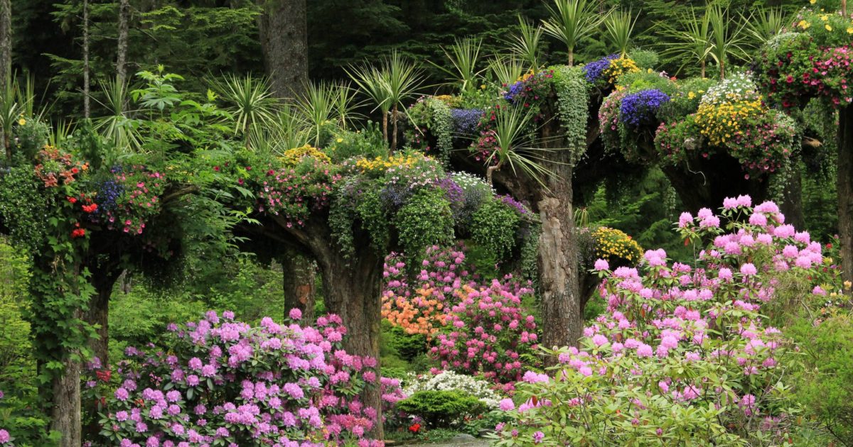 glacier gardens