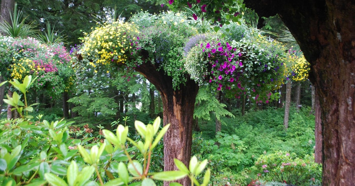 glacier gardens