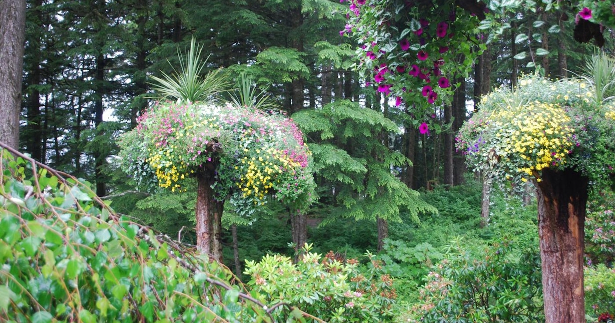 glacier gardens