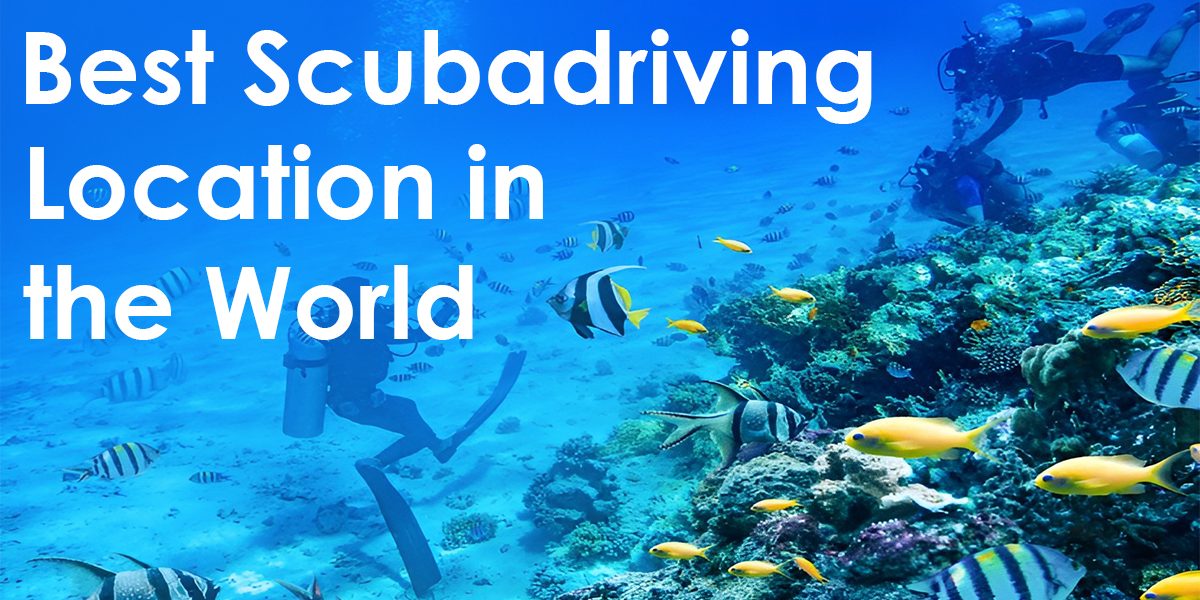 Best Scuba Diving Locations in the World