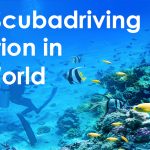 Best Scuba Diving Locations in the World