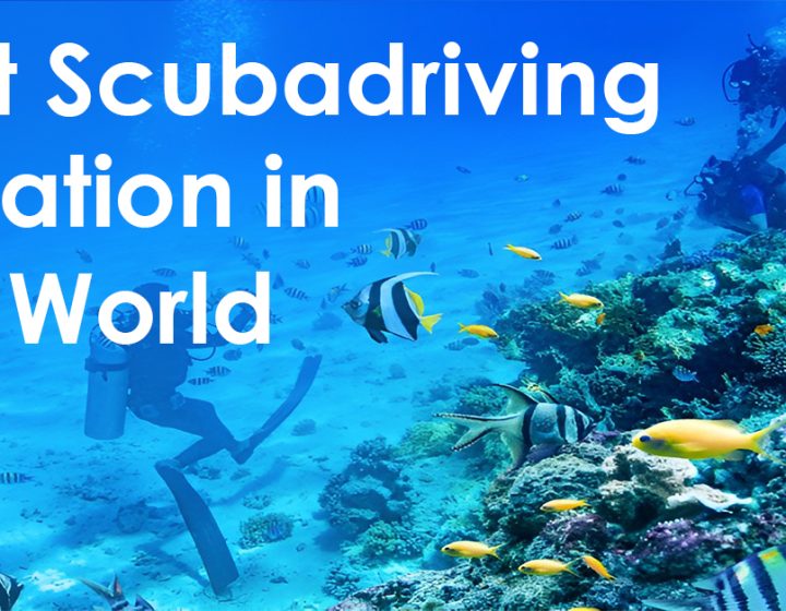 Best Scuba Diving Locations in the World