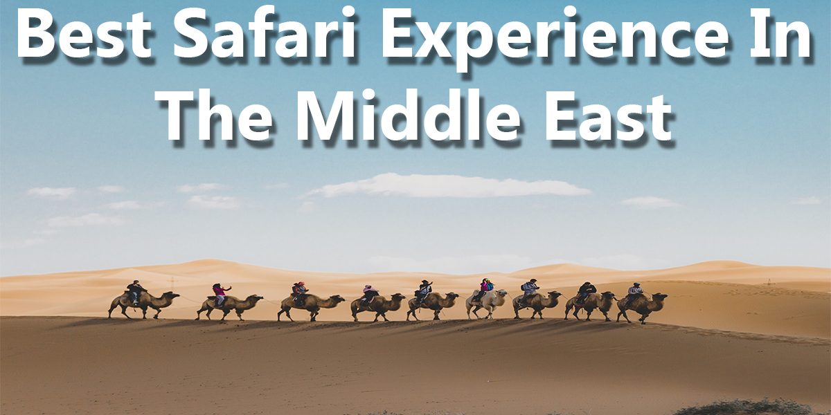 Best Desert Safari Experiences in the Middle East