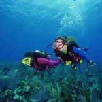 Scuba Diving Hotspots for Underwater Lovers