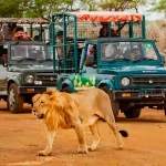 Top Wildlife Safari Locations for Those Who Love the Outdoors