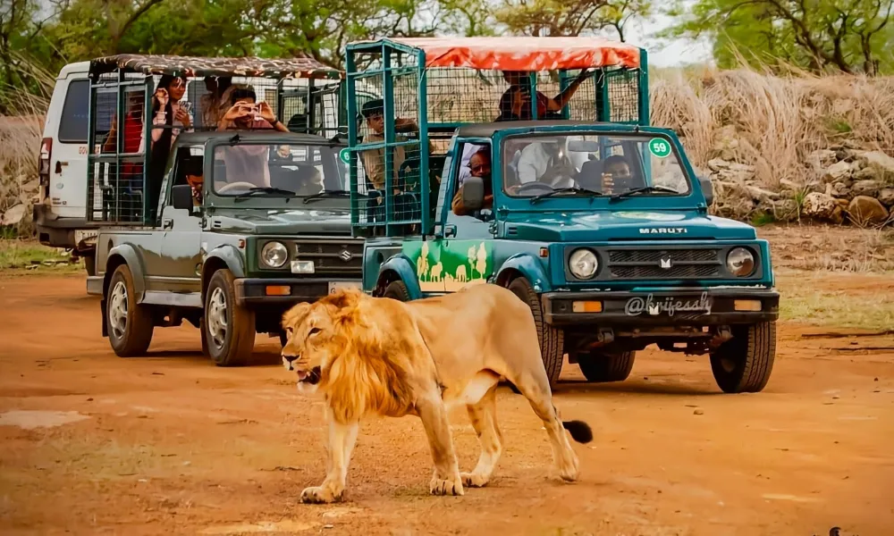 Top Wildlife Safari Locations for Those Who Love the Outdoors