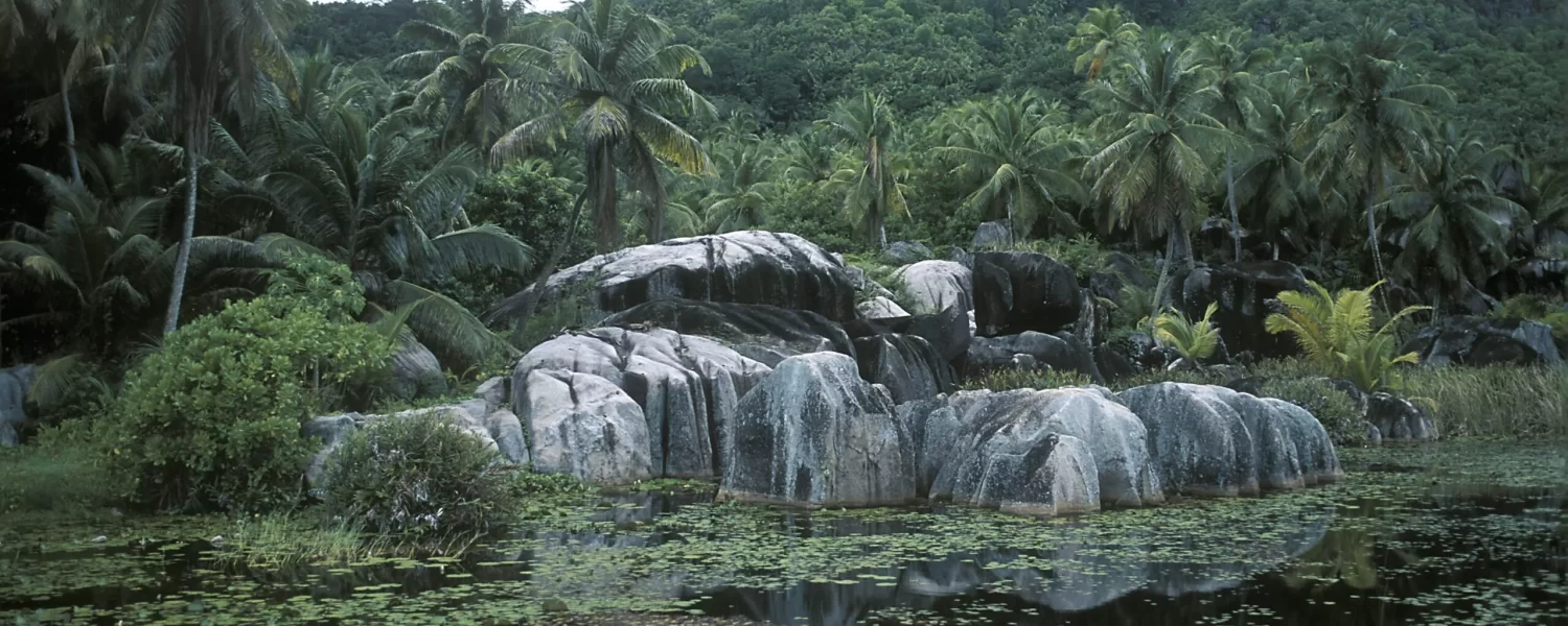 Garden of Eden