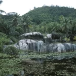 Garden of Eden