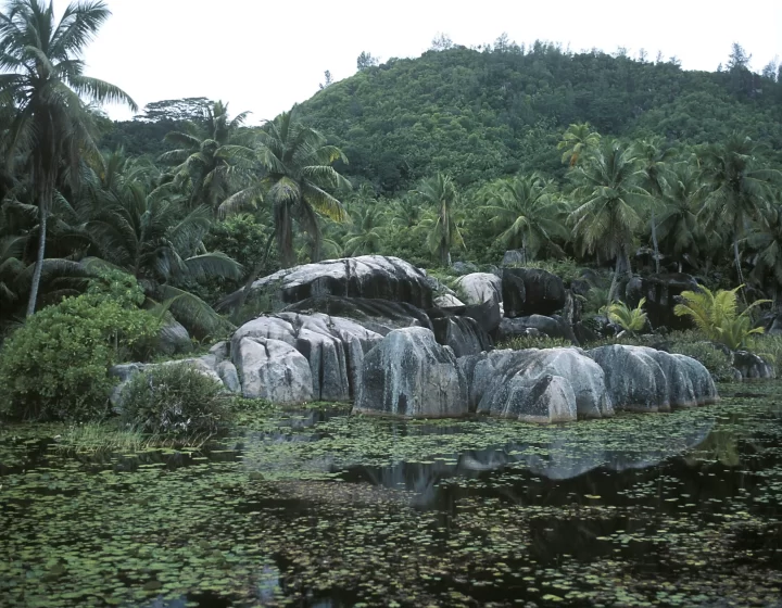 Garden of Eden