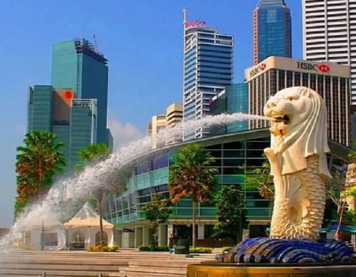 Best Singapore Tour Packages for Every Traveler